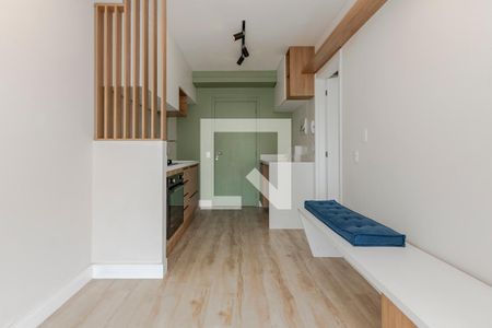 Sala/ Cozinha de apartamento para alugar com 1 quarto, 28m² em Vila das Belezas, São Paulo