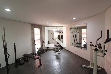 Área comum - Academia de apartamento à venda com 3 quartos, 80m² em Jardim Paraíso, São Paulo