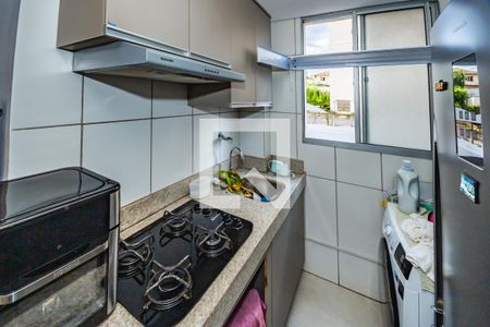 Apartamento à venda com 2 quartos, 50m² em Castelo, Belo Horizonte