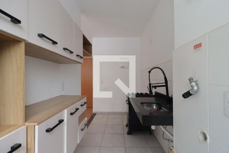 Cozinha de apartamento para alugar com 2 quartos, 45m² em Recreio das Acacias, Ribeirão Preto