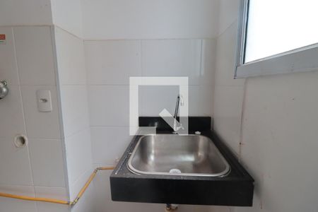 Cozinha de apartamento para alugar com 2 quartos, 45m² em Recreio das Acacias, Ribeirão Preto