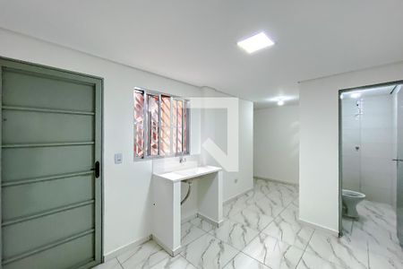 Sala/Quarto de casa para alugar com 1 quarto, 28m² em Belenzinho, São Paulo