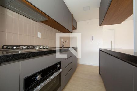 COZINHA de apartamento para alugar com 3 quartos, 77m² em Santo Antônio, Belo Horizonte