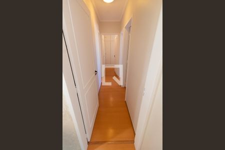 CORREDOR de apartamento à venda com 3 quartos, 80m² em Ponte Preta, Campinas