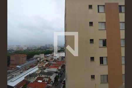 Apartamento para alugar com 2 quartos, 49m² em Freguesia do Ó, São Paulo
