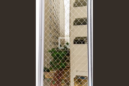 Quarto 1 - Janela de apartamento para alugar com 2 quartos, 44m² em Jardim Iris, São Paulo