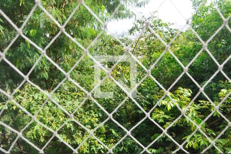 Detalhe - Vista da Sala de apartamento à venda com 2 quartos, 43m² em Jardim Iris, São Paulo