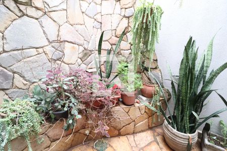 Jardim de Inverno de casa para alugar com 6 quartos, 360m² em Custódio Pereira, Uberlândia