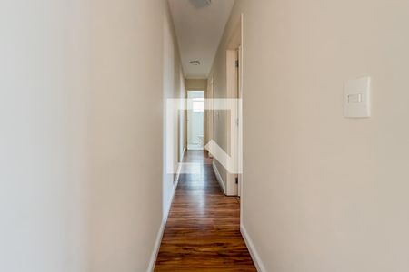 Corredor de apartamento para alugar com 3 quartos, 63m² em Cambuci, São Paulo