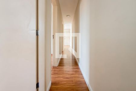 Corredor de apartamento para alugar com 3 quartos, 63m² em Cambuci, São Paulo