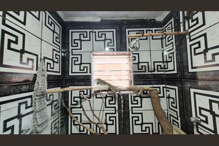 Banheiro de casa à venda com 3 quartos, 200m² em Jardim Santo Alberto, Santo André