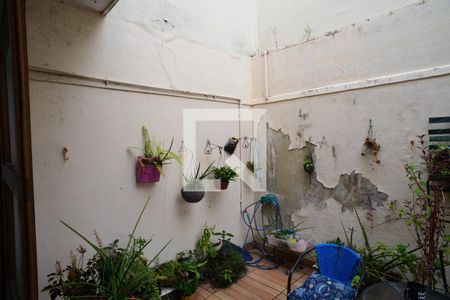 Jardim de Inverno de apartamento para alugar com 6 quartos, 340m² em Barra da Tijuca, Rio de Janeiro