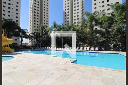 Área comum - Piscina de apartamento à venda com 2 quartos, 51m² em Jardim das Flores, São Paulo