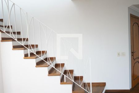 Apartamento para alugar com 3 quartos, 213m² em Cambuci, São Paulo