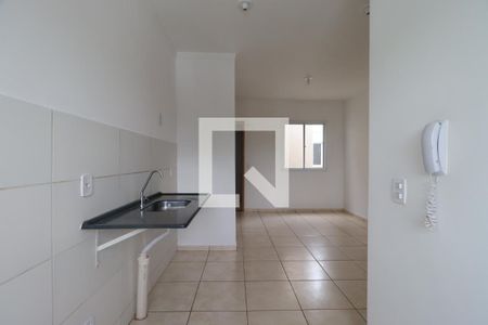 Cozinha de apartamento para alugar com 2 quartos, 45m² em Residencial Parque dos Servidores, Ribeirão Preto