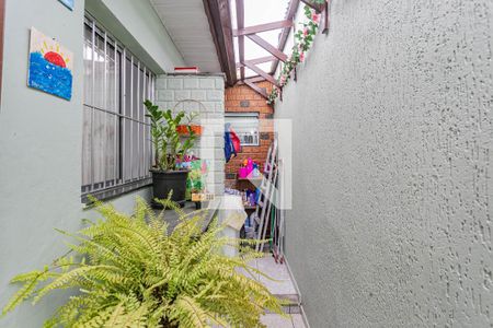 Área de Serviço de casa à venda com 4 quartos, 200m² em Vila Brasilio Machado, São Paulo