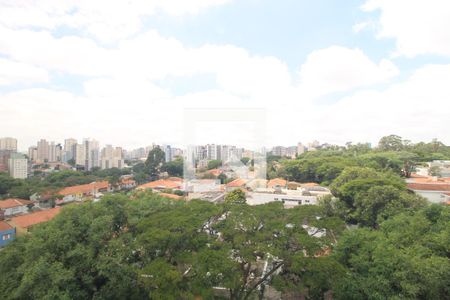 Apartamento à venda com 3 quartos, 270m² em Planalto Paulista, São Paulo