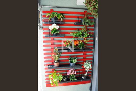 Detalhe - Varanda da Sala de apartamento para alugar com 3 quartos, 62m² em Vila Mangalot, São Paulo