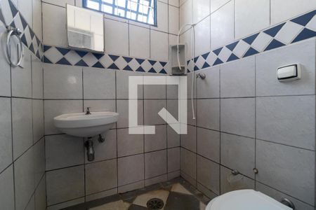 Kitnet de kitnet/studio para alugar com 1 quarto, 35m² em Cidade Universitária, Campinas