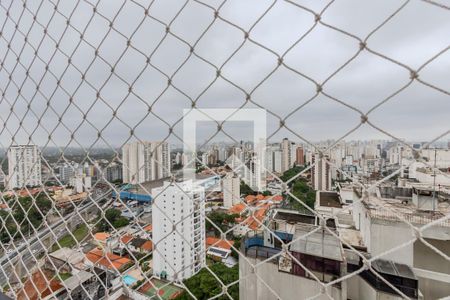 Varanda da Sala de apartamento para alugar com 2 quartos, 45m² em Nova Piraju, São Paulo