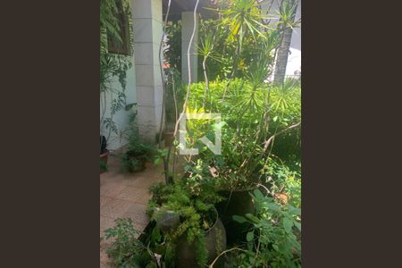 Casa para alugar com 5 quartos, 350m² em Belvedere, Belo Horizonte