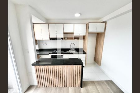 Cozinha e Área de Serviço de apartamento para alugar com 1 quarto, 30m² em Vila Pauliceia, São Paulo