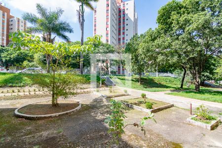 Sala de apartamento para alugar com 2 quartos, 57m² em Nova Gameleira, Belo Horizonte