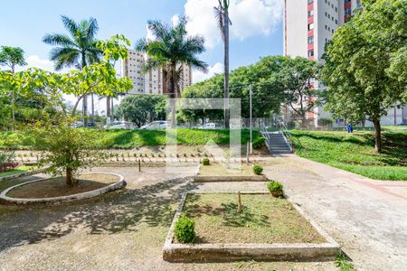 Quarto 1 de apartamento para alugar com 2 quartos, 57m² em Nova Gameleira, Belo Horizonte