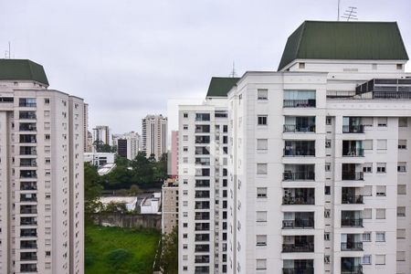 Vista de apartamento para alugar com 2 quartos, 74m² em Jardim Parque Morumbi, São Paulo
