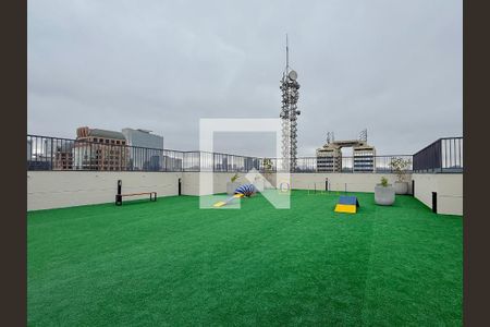Espaço Pet  de kitnet/studio para alugar com 0 quarto, 24m² em Vila Cordeiro, São Paulo