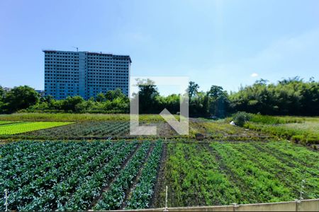 Vista da Sala de apartamento para alugar com 2 quartos, 39640m² em Vila Nova Bonsucesso, Guarulhos