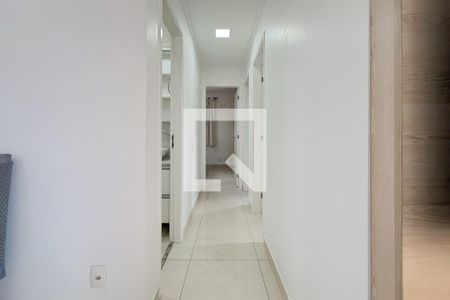 Corredor de apartamento para alugar com 3 quartos, 59m² em Cambuci, São Paulo