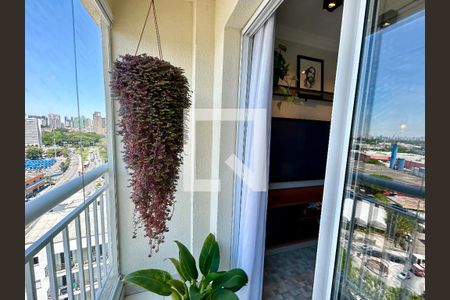 Varanda da Sala de apartamento para alugar com 2 quartos, 57m² em Vila das Palmeiras, Guarulhos