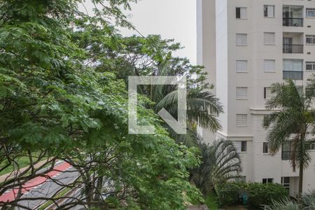 Apartamento à venda com 2 quartos, 48m² em Vila Anastácio, São Paulo