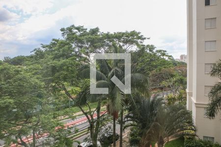 Apartamento à venda com 2 quartos, 48m² em Vila Anastácio, São Paulo