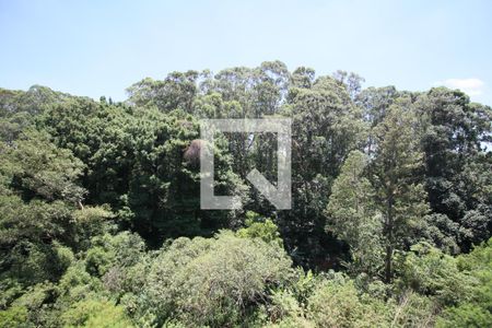 Apartamento à venda com 2 quartos, 51m² em Jardim Maria Duarte, São Paulo