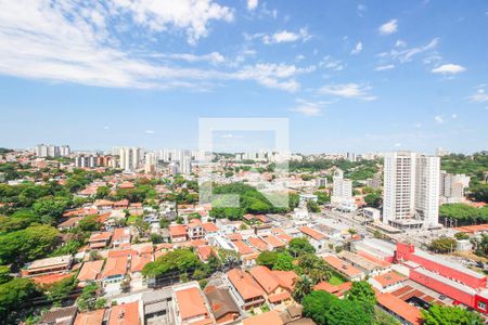 Vista da Varanda da Sala de apartamento à venda com 2 quartos, 91m² em Vila Progredior, São Paulo
