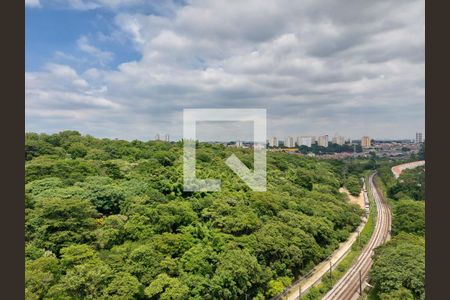 Vosta da Sala de apartamento à venda com 2 quartos, 36m² em Usina Piratininga, São Paulo