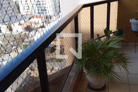 Apartamento à venda com 3 quartos, 100m² em Cambuí, Campinas