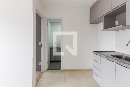 Cozinha  de apartamento para alugar com 1 quarto, 27m² em Vila Sonia, São Paulo