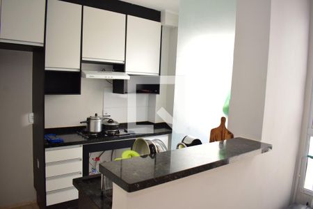 Cozinha - Armários de apartamento para alugar com 2 quartos, 43m² em Jd Reserva Real, Ribeirão Preto