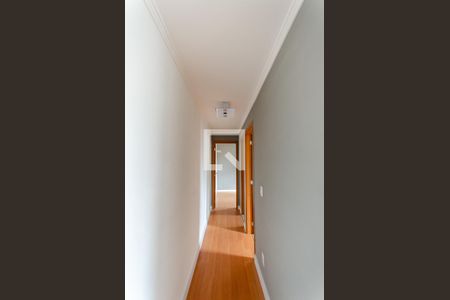 Corredor de apartamento para alugar com 2 quartos, 45m² em Jardim Iris, São Paulo