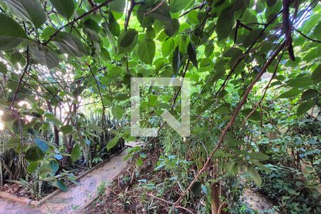 Vista do Quarto 1  de casa à venda com 4 quartos, 160m² em Parque da Figueira, Campinas