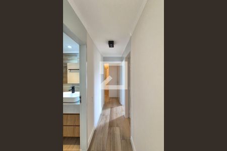 Corredor  de apartamento para alugar com 3 quartos, 72m² em Jardim Ipaussurama, Campinas