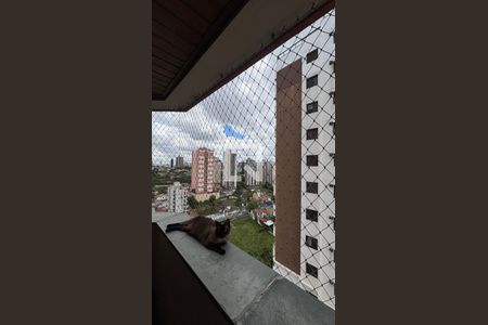 Sala - Sala de Jantar Varanda de apartamento à venda com 3 quartos, 180m² em Vila Bastos, Santo André
