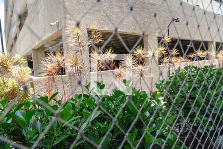 Apartamento para alugar com 2 quartos, 43m² em Vila Itapegica, Guarulhos