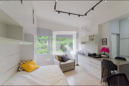 Sala/Quarto de apartamento para alugar com 1 quarto, 30m² em Centro Histórico de São Paulo, São Paulo