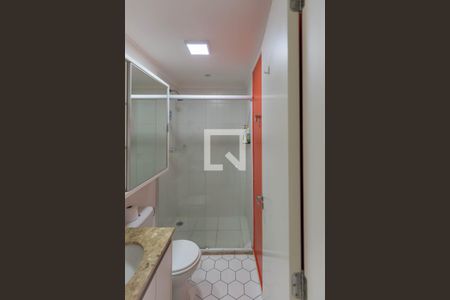 Banheiro da Suíte de apartamento para alugar com 2 quartos, 57m² em São Bernardo, Campinas