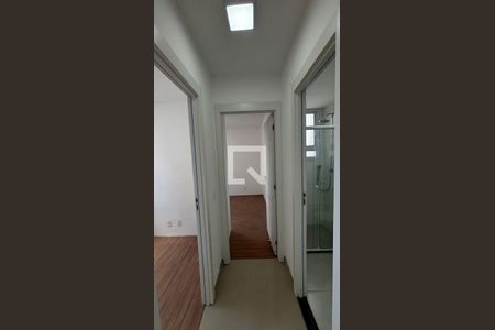 Corredor de apartamento para alugar com 2 quartos, 38m² em Jardim, Santo André