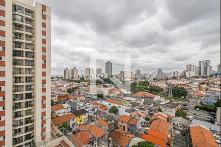 vistas_3 de apartamento para alugar com 2 quartos, 62m² em Ipiranga, São Paulo